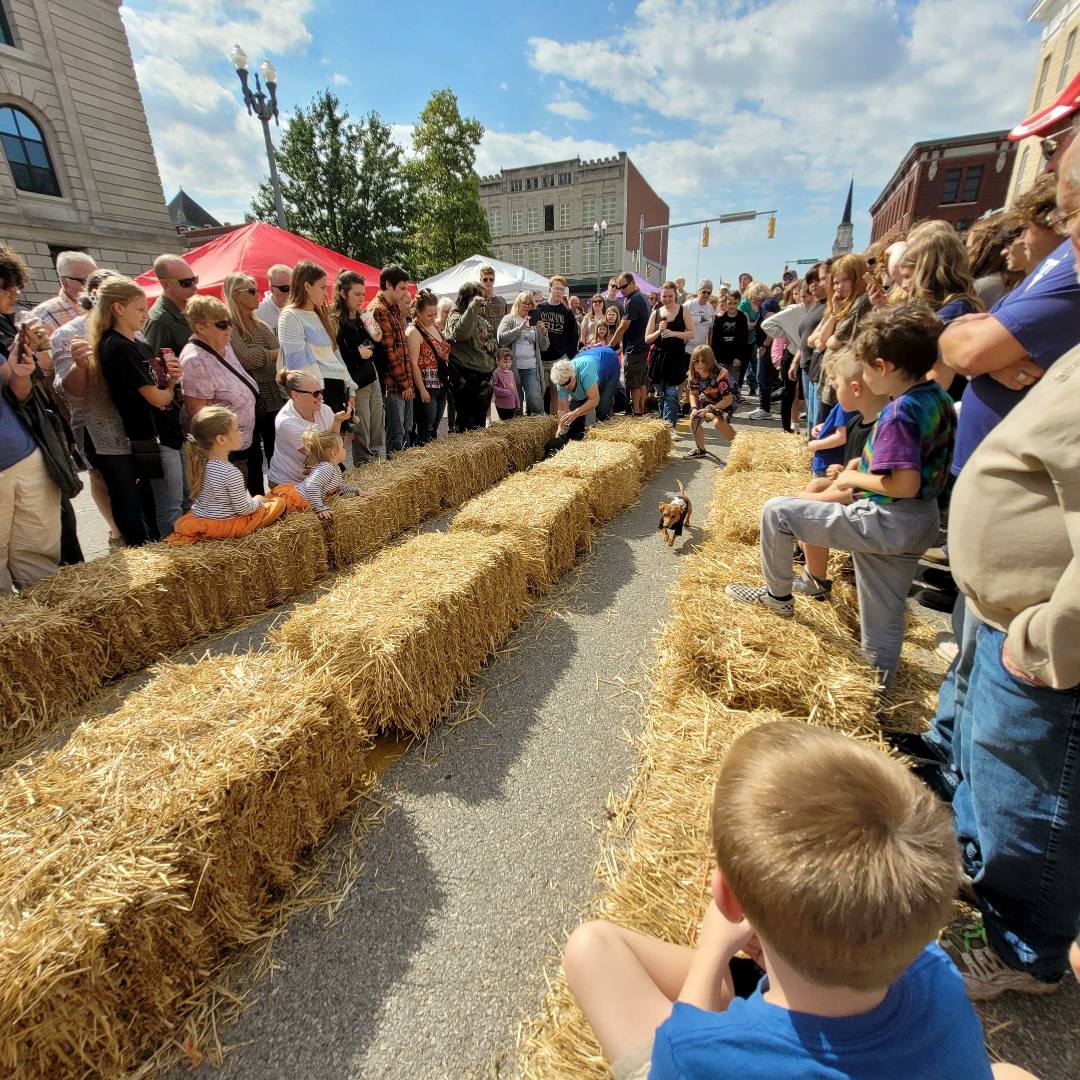 Dog Races at Downtown Peru Festival